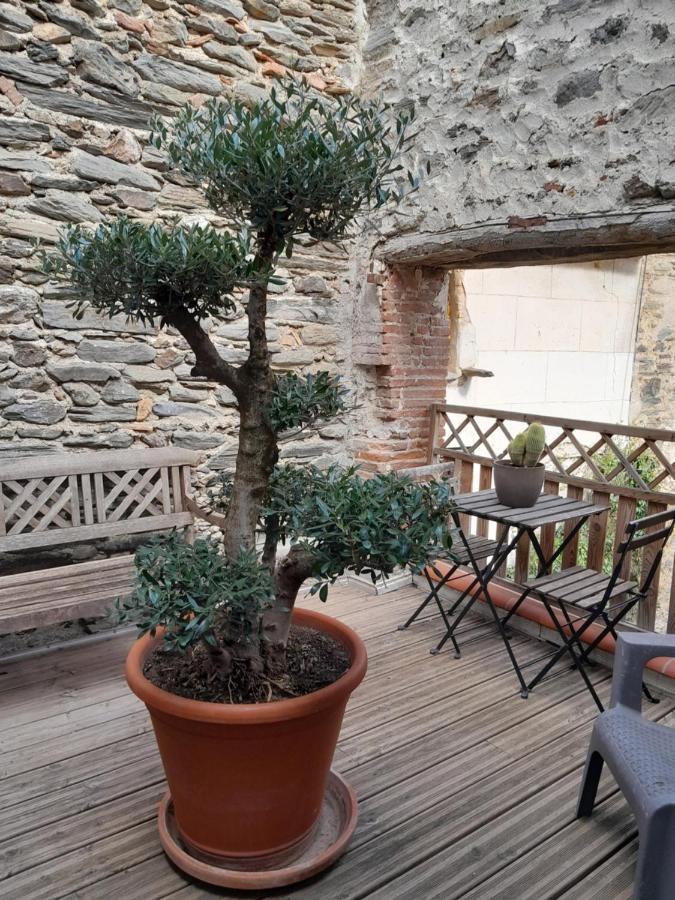 Loft Vue Montagne Vila Rigarda Exterior foto